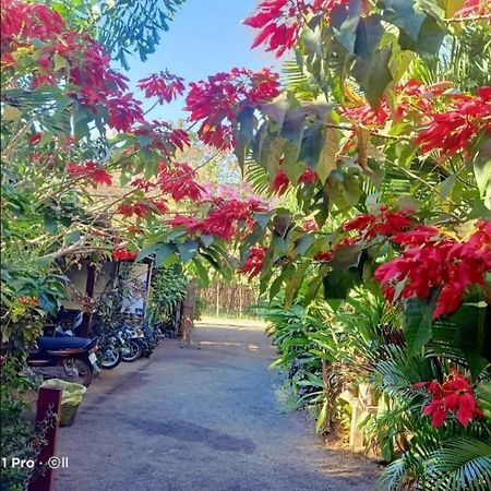 Tribal Village Homestay & Trekking Banlung Esterno foto