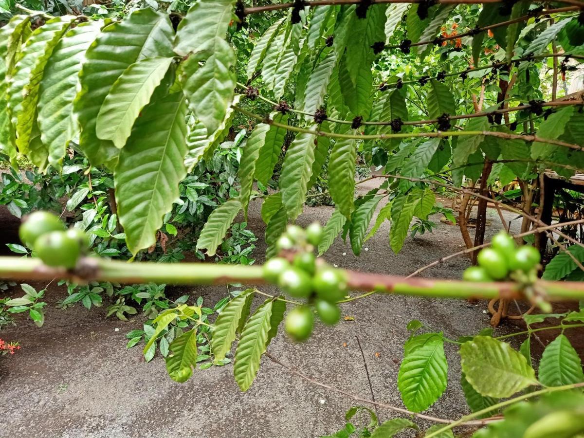 Tribal Village Homestay & Trekking Banlung Esterno foto
