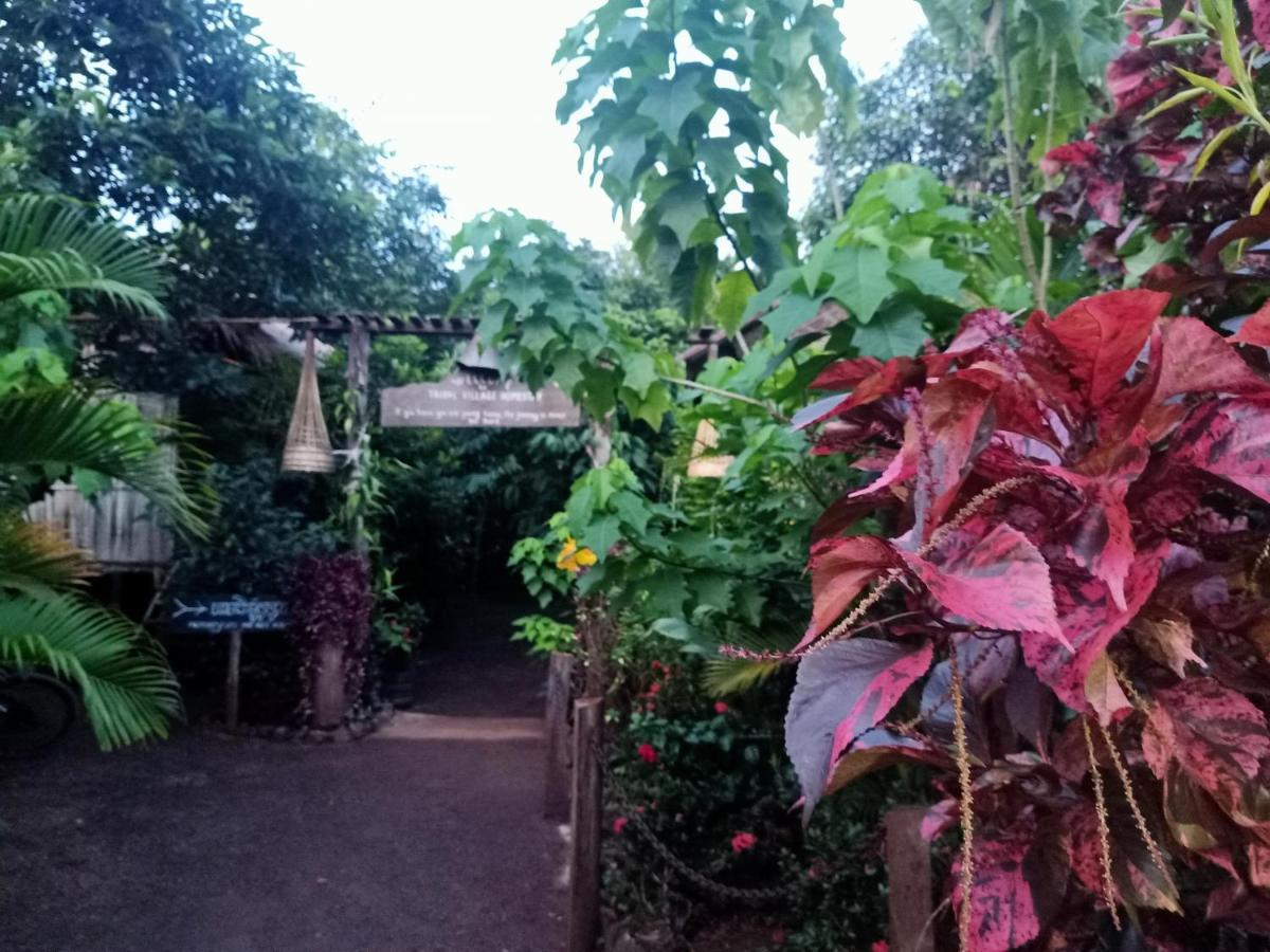 Tribal Village Homestay & Trekking Banlung Esterno foto
