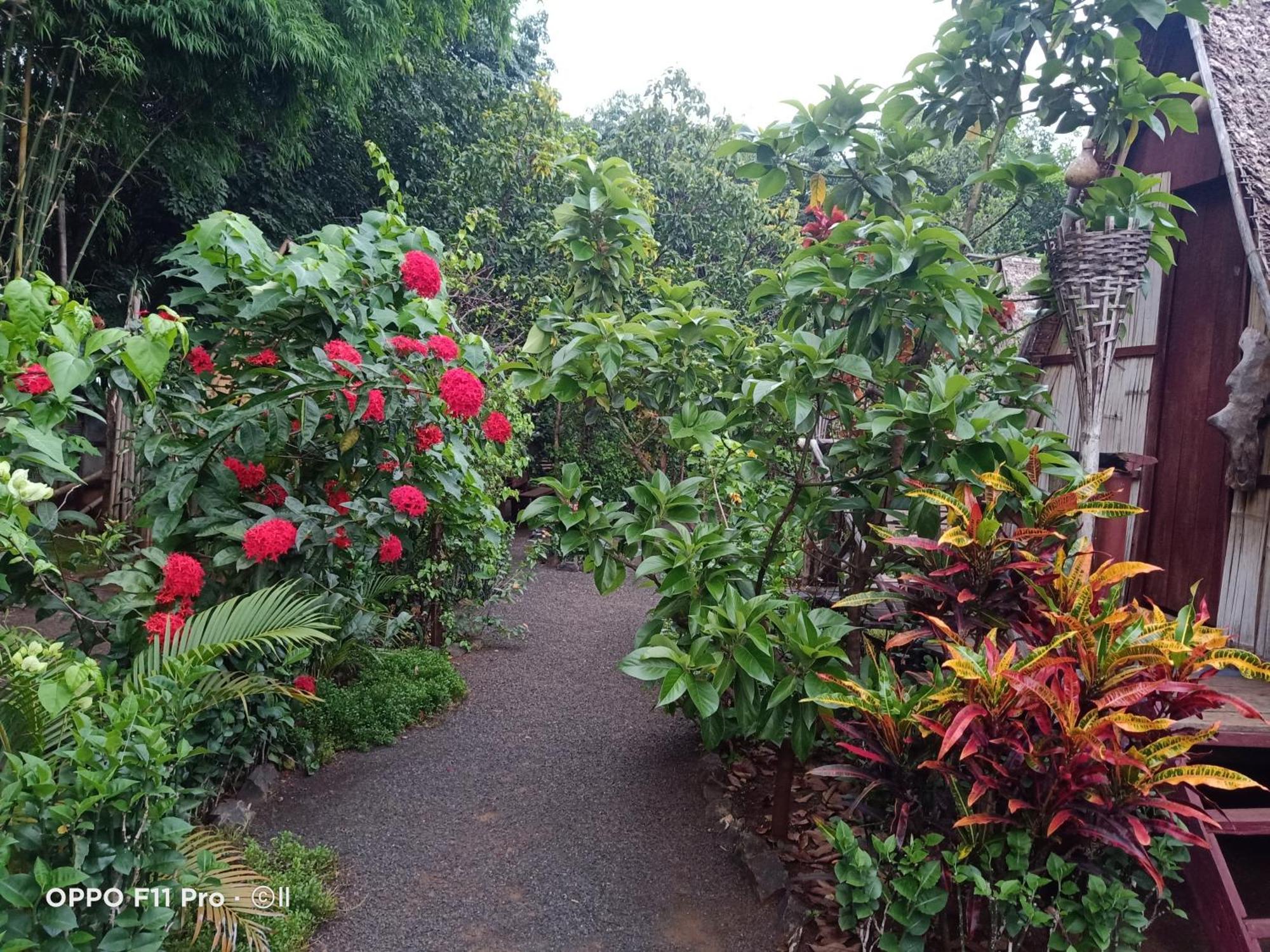 Tribal Village Homestay & Trekking Banlung Esterno foto